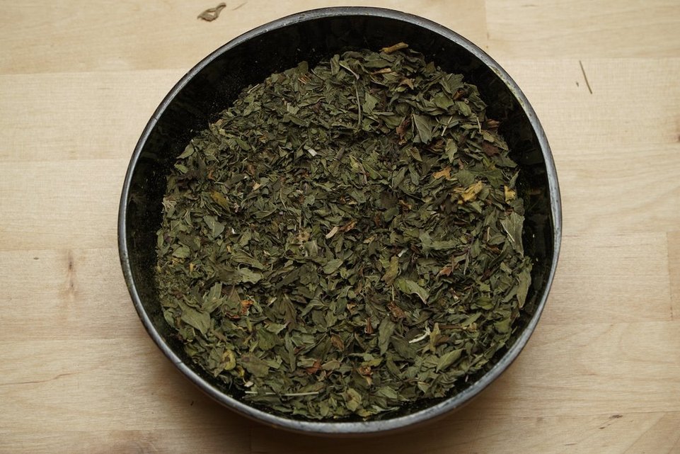 menthapiperita