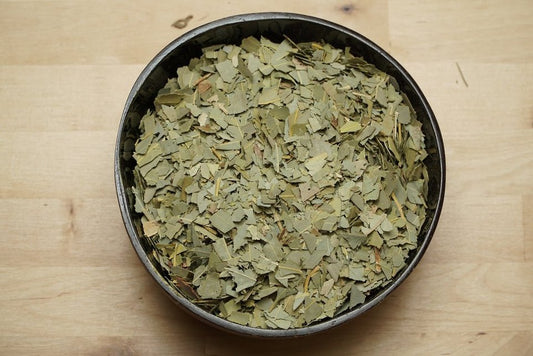 eucalyptus
