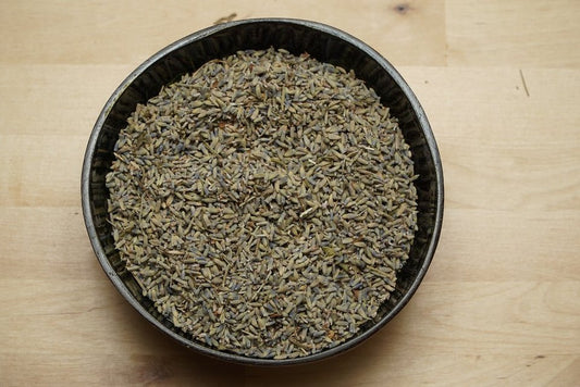 lavandula